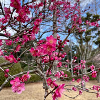 彼との未来😌🌼