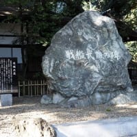 初詣に武蔵一宮氷川神社