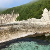 おひさしぶりの毛玉旅⑦🐶（下北半島編）