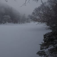 ひさびさの日光白根山