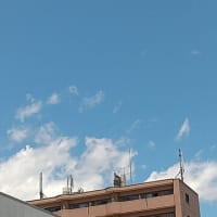 夏！？