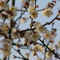 しばらく‥