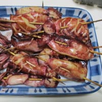 質素に少量-今日も元気----イカの醬油焼、イチゴ＋栄養補助ドリンク、喜多方ラーメン、鰹のタタキ、マグロの刺身