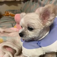紙を貼っただけで鍵？　悪人も良心が求められる国Japan