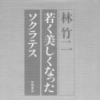 若く美しくなったソクラテス