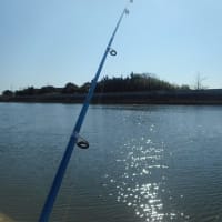 南白亀川でマハゼ ウロハゼ Gooブログはじめました 南白亀川でマハゼ ウロハゼ Gooブログはじめました