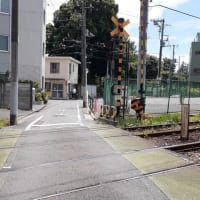 梅雨の晴れ間の雑司ヶ谷霊園
