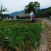 今日も耕す