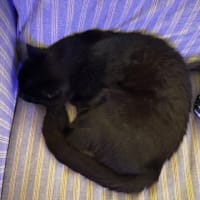 すぐにでも行って手伝いたいのだけど…