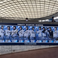 勝ちました〜⚾️