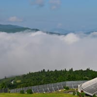 雲海予報が81.6％なら行くっきゃない