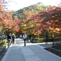 金閣寺