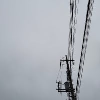 2025/05/22