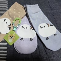 正吉君グッズが増えました(^^♪