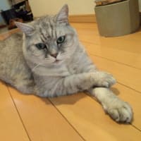 ４年前の今日は
