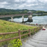 【第445回目】 　白川池 〈奈良県〉　2025.5.31 【土】