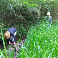 国営海浜公園ＳＢＰ2025年度活動予定および活動報告の掲示板です