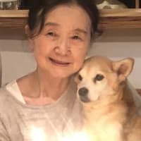  チップの訃報