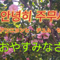 おやすみなさい アンニョンヒ チュムセヨ 韓国語の勉強始めました