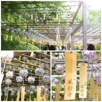 青龍で行く宇治・風鈴まつり