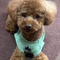 炎天下テニスと仕事！