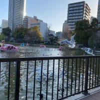 上野で鳥さんパラダイス