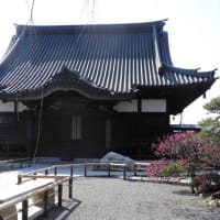 水戸のお寺(6)