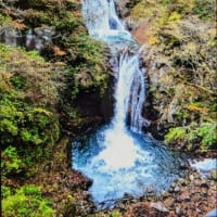 今日いち-2024年11月1日