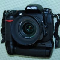 D300 with MB-D10