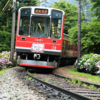 4年ぶり復活！箱根の初夏の風物詩 箱根登山鉄道「夜のあじさい号」