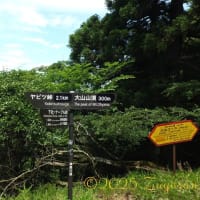 山の頂上で愛を考える旅... Part 1
