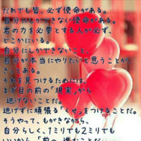 ダイエット28日目 朝🌷
