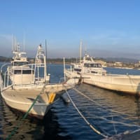 🎣オヤジ達の🎣釣り遠足へ