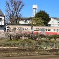西武多摩川線を歩きました。