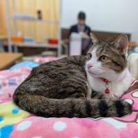 卒業生が遊びに来たよ