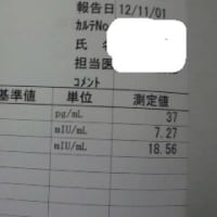 カウフマン療法 不妊治療の真実