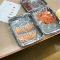 ここあ寿司ざんまい