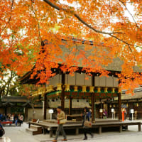美の狩人　京都　紅葉の巻