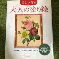 久しぶりのメルカリ