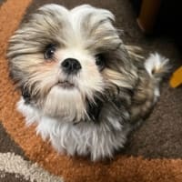 4か月になりました。