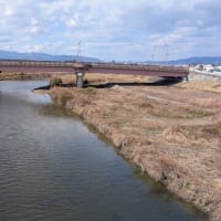 店舗近くの川