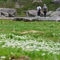 乗鞍岳その２　お花畑