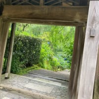 鎌倉散歩明月院