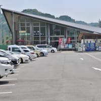 優しいお顔の地蔵尊に出会う！・・・安産寺　子安地蔵菩薩