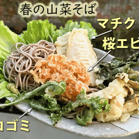 川崎港の猫さん