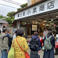 RSSCゼミ同窓会・・・その２「泉岳寺」　