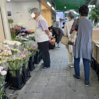 大須の花市場、その他