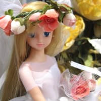 gooブログへ、感謝を込めて