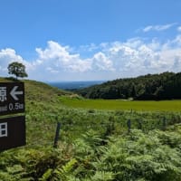 山吹水源