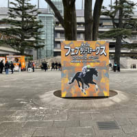 来週はFebruary S